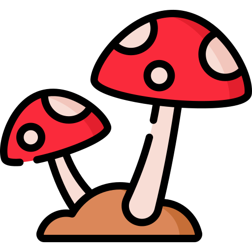 Mycology